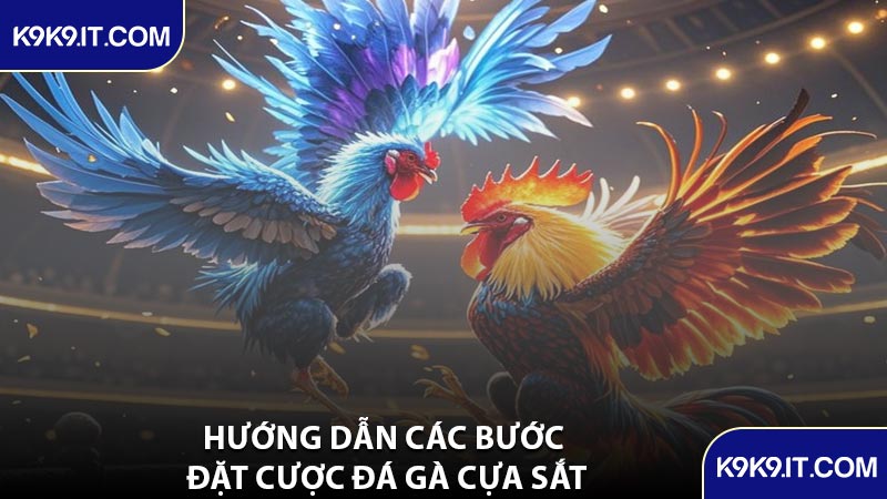 Hướng Dẫn Các Bước Đặt Cược Đá Gà Cựa Sắt