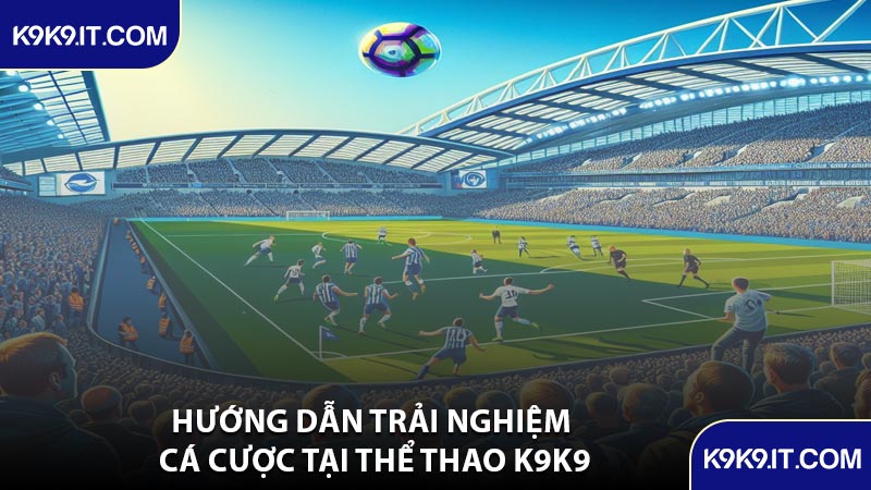 Hướng Dẫn Trải Nghiệm Cá Cược Tại Thể Thao K9K9