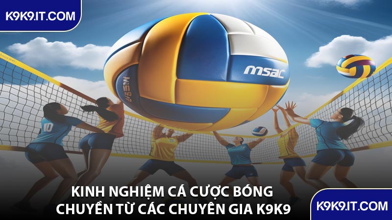 Kinh Nghiệm Cá Cược Bóng Chuyền Từ Các Chuyên Gia K9K9