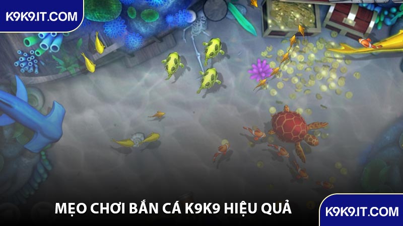Mẹo Chơi Bắn Cá K9K9 Hiệu Quả