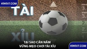 Tại Sao Cần Nắm Vững Mẹo Chơi Tài Xỉu