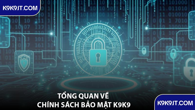 Tổng Quan Về Chính Sách Bảo Mật K9K9