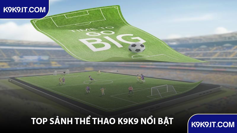 Top Sảnh Thể Thao K9K9 Nổi Bật