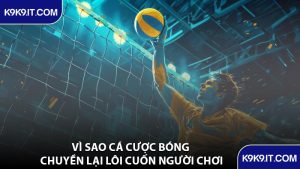 Vì Sao Cá Cược Bóng Chuyền Lại Lôi Cuốn Người Chơi