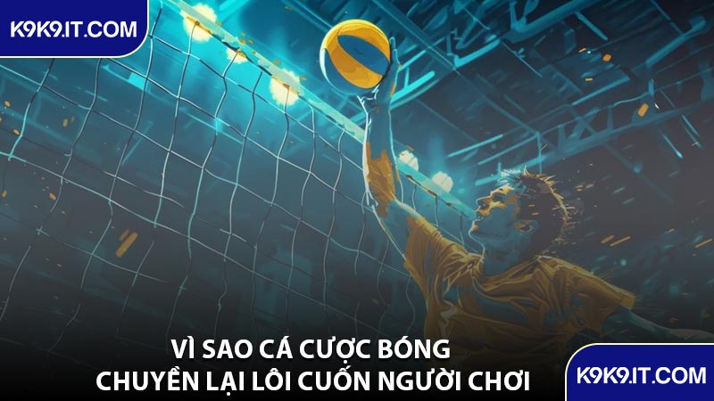 Vì Sao Cá Cược Bóng Chuyền Lại Lôi Cuốn Người Chơi